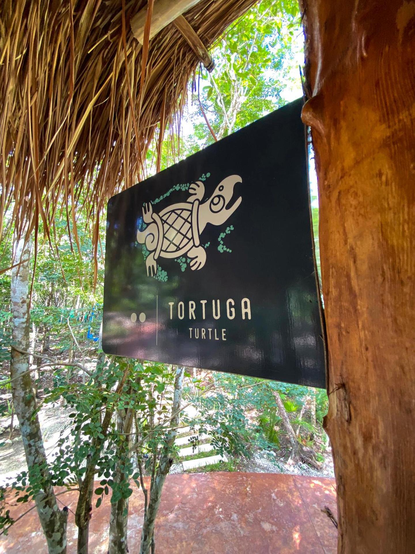 Villas Zamna - Jungle Villas Cozumel Exterior foto