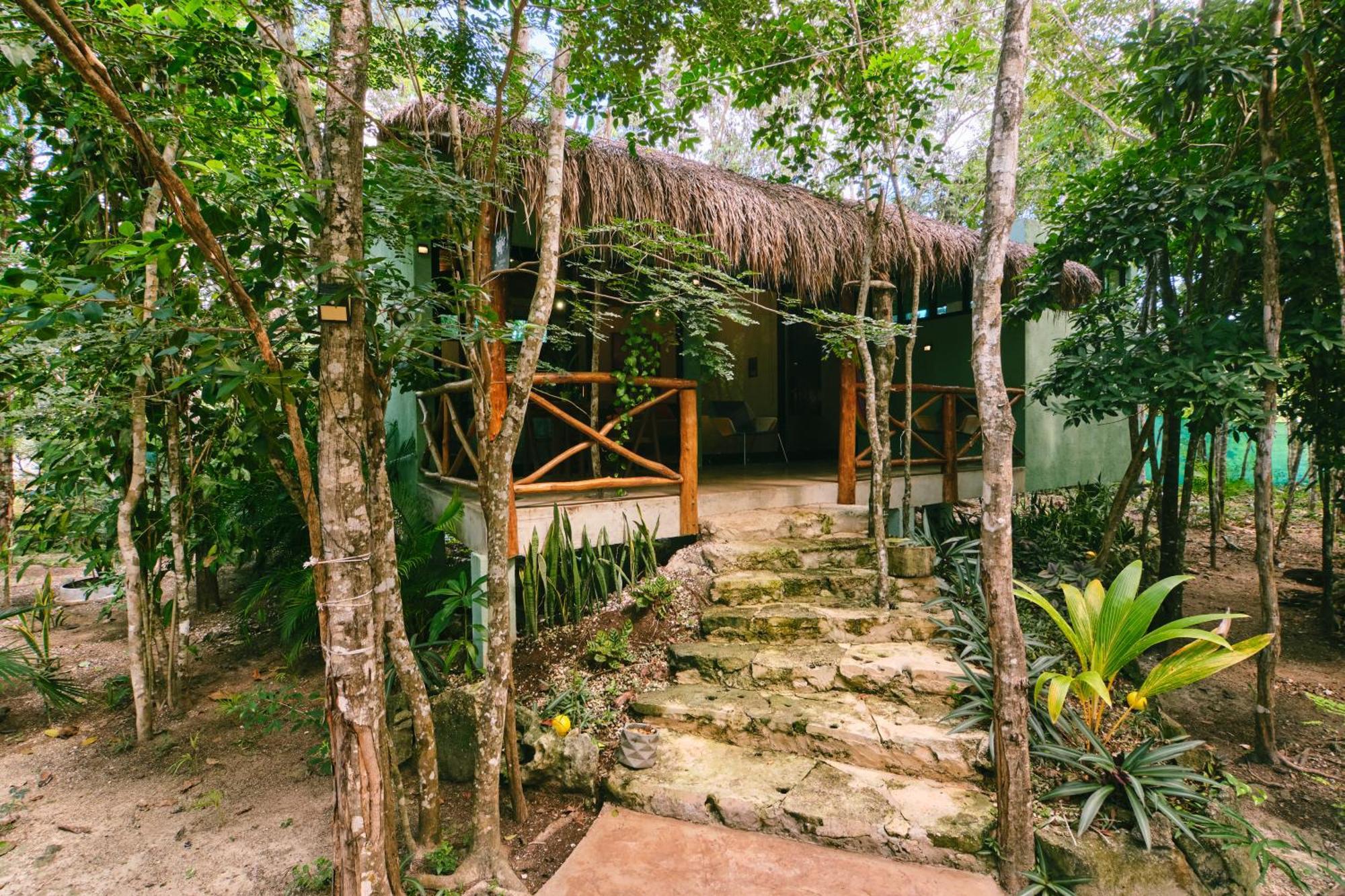 Villas Zamna - Jungle Villas Cozumel Exterior foto