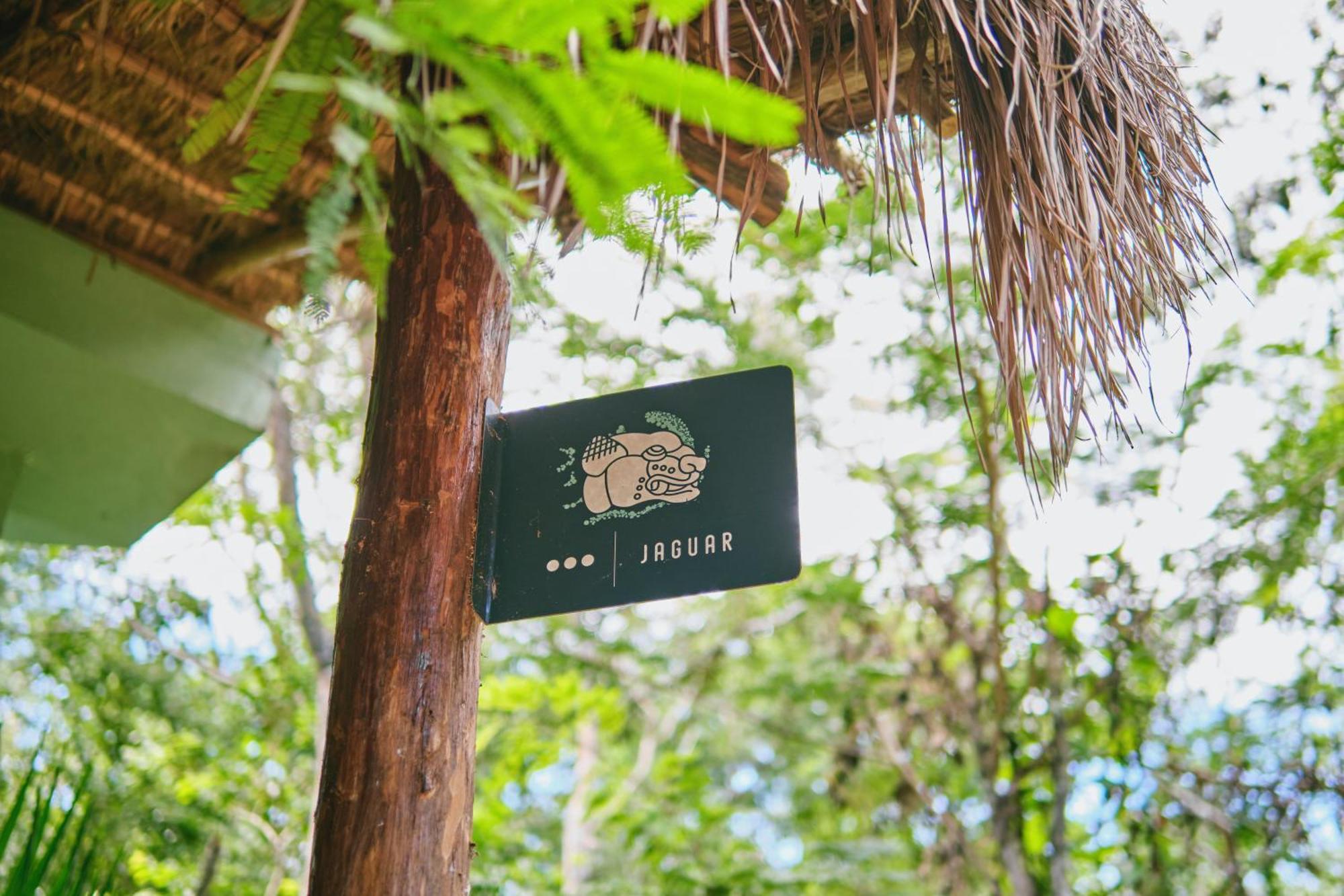 Villas Zamna - Jungle Villas Cozumel Exterior foto